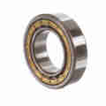 Rollway Bearing Cylindrical Bearing – Caged Roller - Straight Bore - Unsealed NU 2210 EM C3